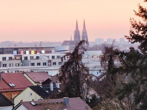 Domblick Regensburg